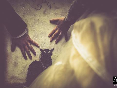 Award Gallery WPJA Fotoori Matteo Originale Wedding Photographer